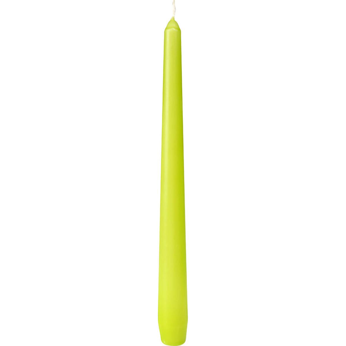 Eine hohe, spitz zulaufende grüne Leuchterkerze der Duni GmbH (ca. 7h, 250 x 22 mm) mit weißem Docht steht aufrecht vor einem weißen Hintergrund.