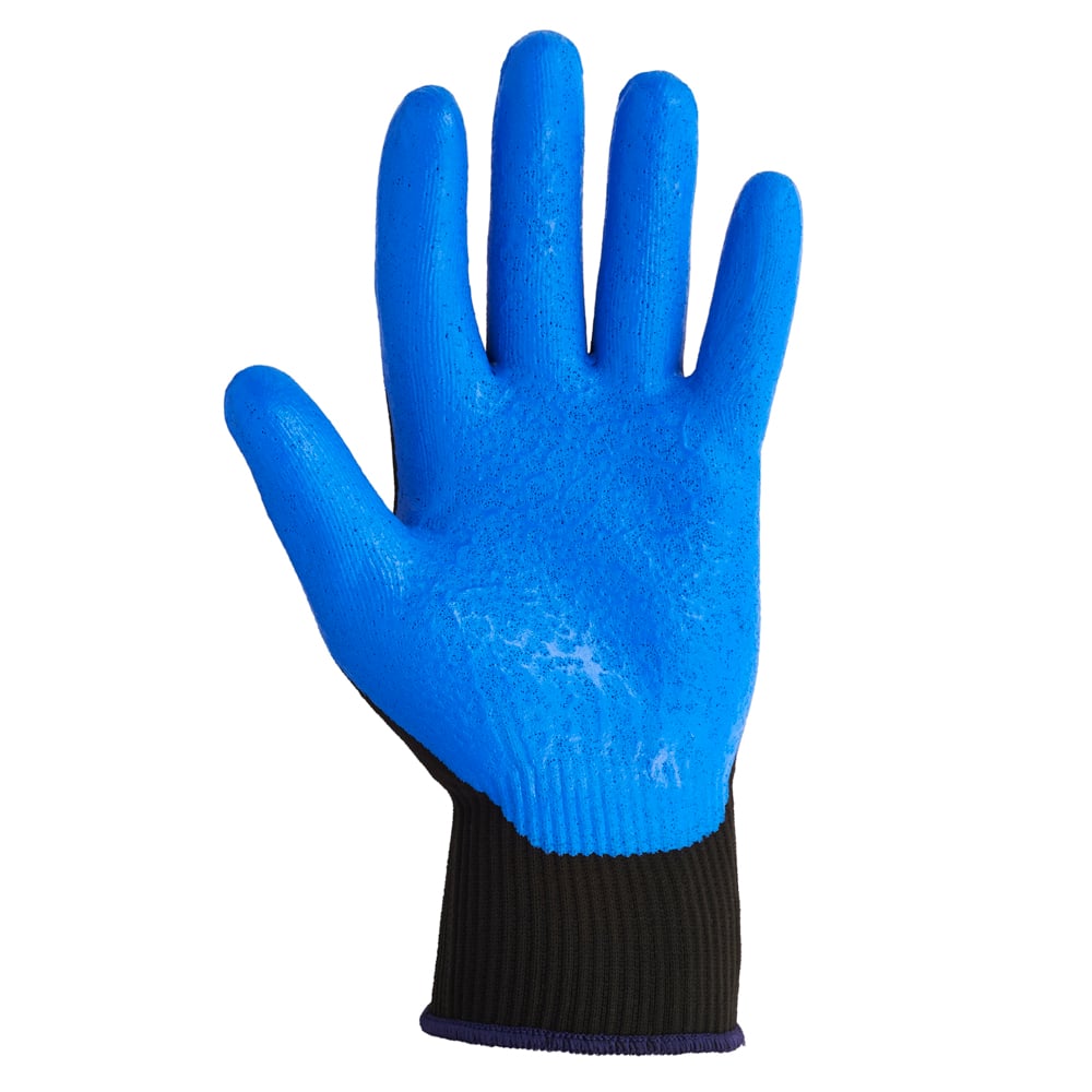 Abgebildet ist ein blauer Kimberly-Clark GmbH KleenGuard® G40 Schaumbeschichtete Handschuhe - handspezifisch mit schwarzer Stoffmanschette, Handfläche nach oben, vor weißem Hintergrund.