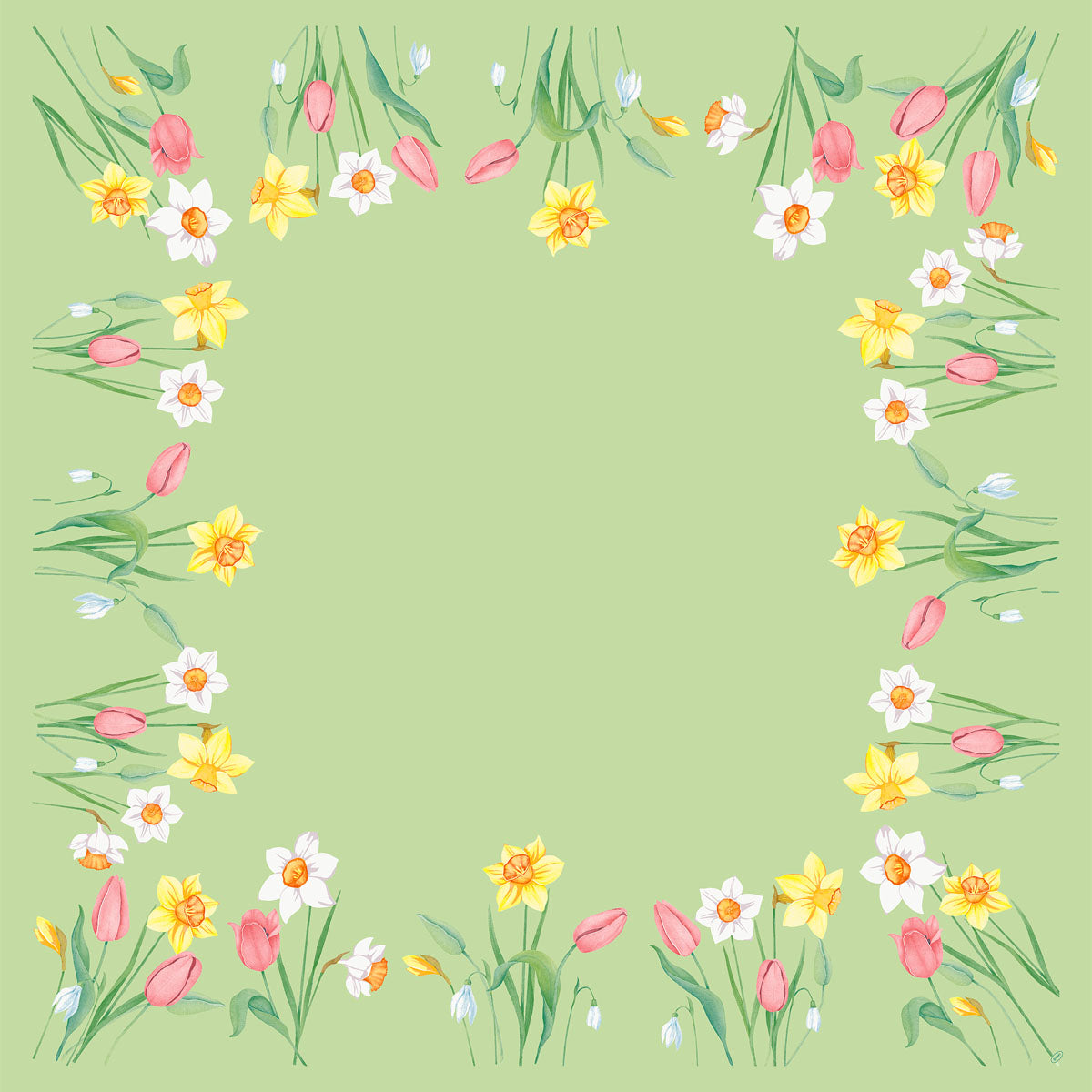 Ein quadratischer hellgrüner Hintergrund mit illustrierten Frühlingsblumen - gelbe Narzissen, rosa Tulpen und weiße Blüten - umrahmt die Mitte und spiegelt das frische Design der Bio-Dunicel-Mitteld.84x84 Spring Melody 20P.