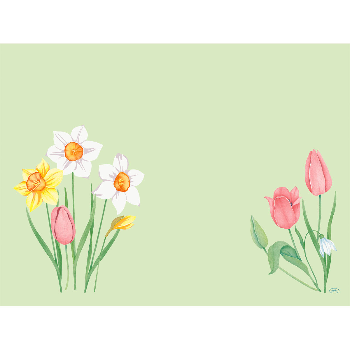 Frühlingsmelodie Blumenmuster von Duni GmbH: gelbe Narzissen, weiße Narzissen und rosa Tulpen auf der linken Seite; rosa Tulpen und eine kleine weiße Blume auf der rechten Seite über hellgrün. Die Mitte ist leer. Ideal für nachhaltige Tischdekoration oder Bio-Dunicel-Sets 30x40, 100 Stück.