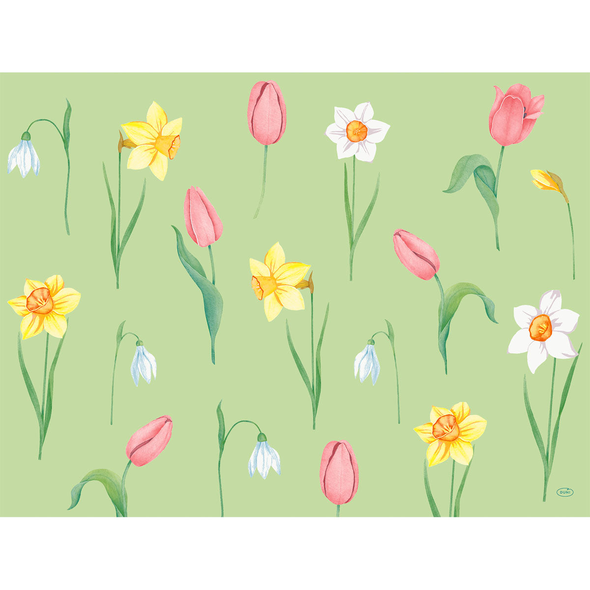 Verschönern Sie Ihren Tisch mit den Duni GmbH Papier-Tischsets 30x40cm Frühlingsmelodie (250 Stück), geschmückt mit aquarellierten Frühlingsblumen - rosa Tulpen, gelbe Narzissen, weiße Narzissen und Schneeglöckchen auf hellgrünem Hintergrund.