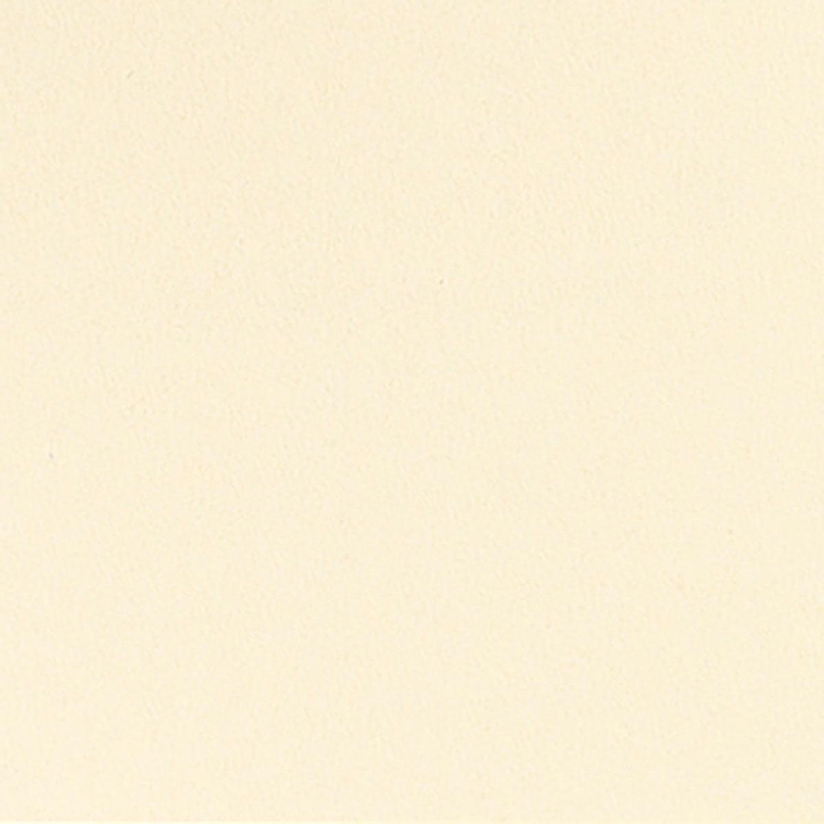 Eine leere, glatte Oberfläche in einem gleichmäßigen, hellbeigen Farbton, ähnlich der Bio-Dunicel-Mitteldecke 84x84cm creme von Duni GmbH (20er Pack); es sind keine Muster, Strukturen oder Gegenstände sichtbar.