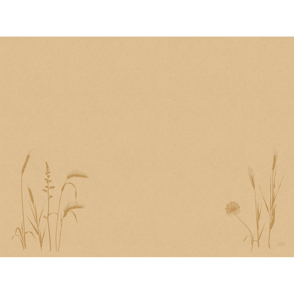 Ein schlichter, hellbrauner Hintergrund mit einfachen Strichzeichnungen von Gräsern und Wildblumen in den unteren Ecken - ideal, um die Bio-Dunicel-Sets 30x40 Meadow natural (100 Stück) der Duni GmbH in einer umweltfreundlichen, minimalistischen Umgebung zu präsentieren.
