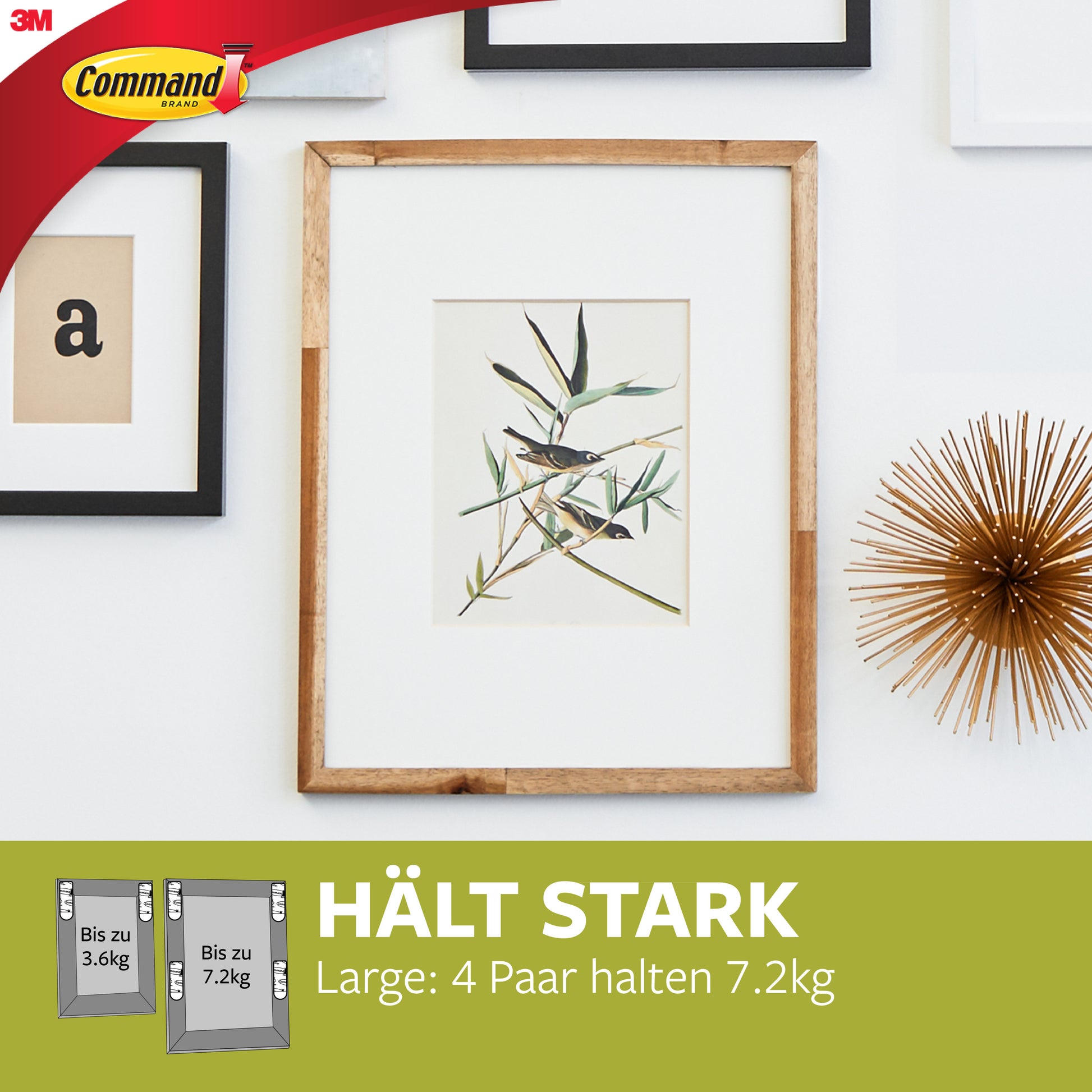 Ein hölzerner Bilderrahmen mit einer botanischen Illustration hängt an einer weißen Wand zwischen anderen Rahmen und Golddekor. Darunter steht ein Text: "Große Command™ Bilder-Montage Strips L: 4 Paar halten 7,2kg." Die Logos von Command und 3M Deutschland GmbH sind sichtbar.