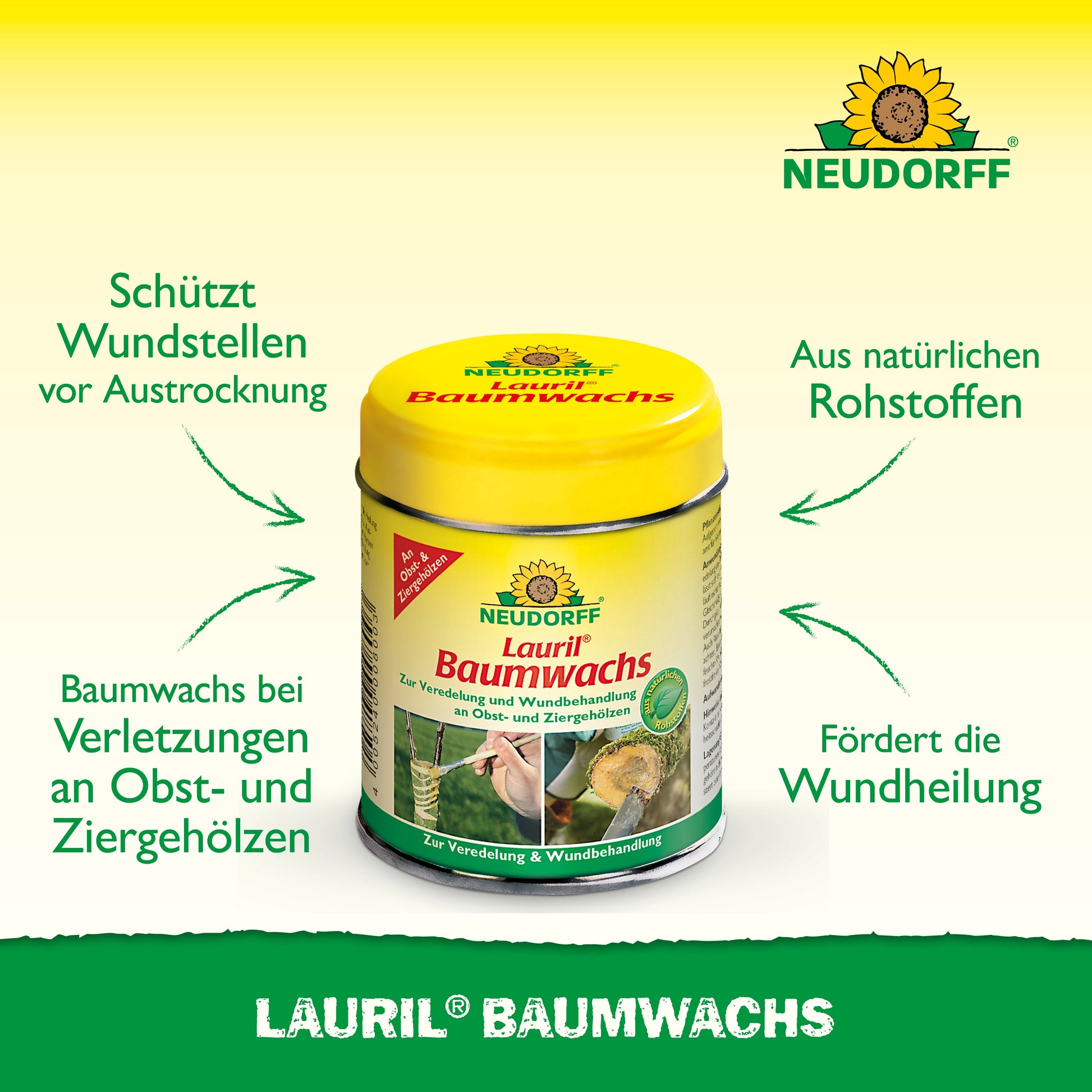 Ein Behälter des Neudorff Shop Lauril Baumwachs ist mit dem Etikett nach vorne gerichtet und mit Text und Pfeilen versehen, die seine Vorteile hervorheben: Schutz von Baumwollwunden, Verwendung natürlicher Rohstoffe und Unterstützung der Wundheilung von Bäumen und Sträuchern.