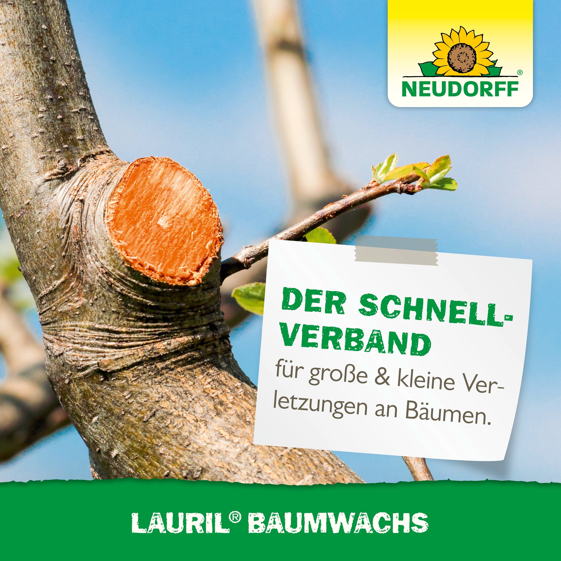 Nahaufnahme eines Astes mit einer frischen Schnittwunde, die teilweise mit Wundverschlussmittel bedeckt ist. Der Text wirbt für "Lauril Baumwachs" von Neudorff Shop zur Behandlung von Baumwunden mit natürlichen Inhaltsstoffen bei großen und kleinen Verletzungen.