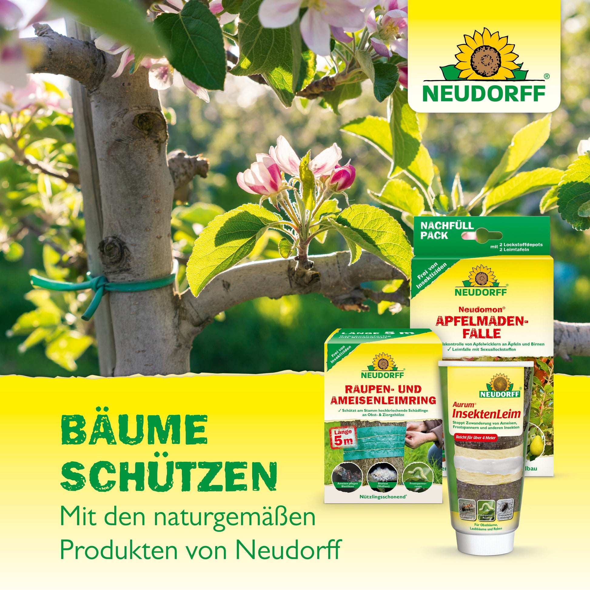 Eine Nahaufnahme eines blühenden Baumzweigs mit dem Lauril Baumwachs von Neudorff Shop im Vordergrund. Der deutsche Text wirbt für den Schutz von Bäumen und Baumwunden mit natürlichen Rohstoffen. Das Neudorff-Logo erscheint in der oberen rechten Ecke.