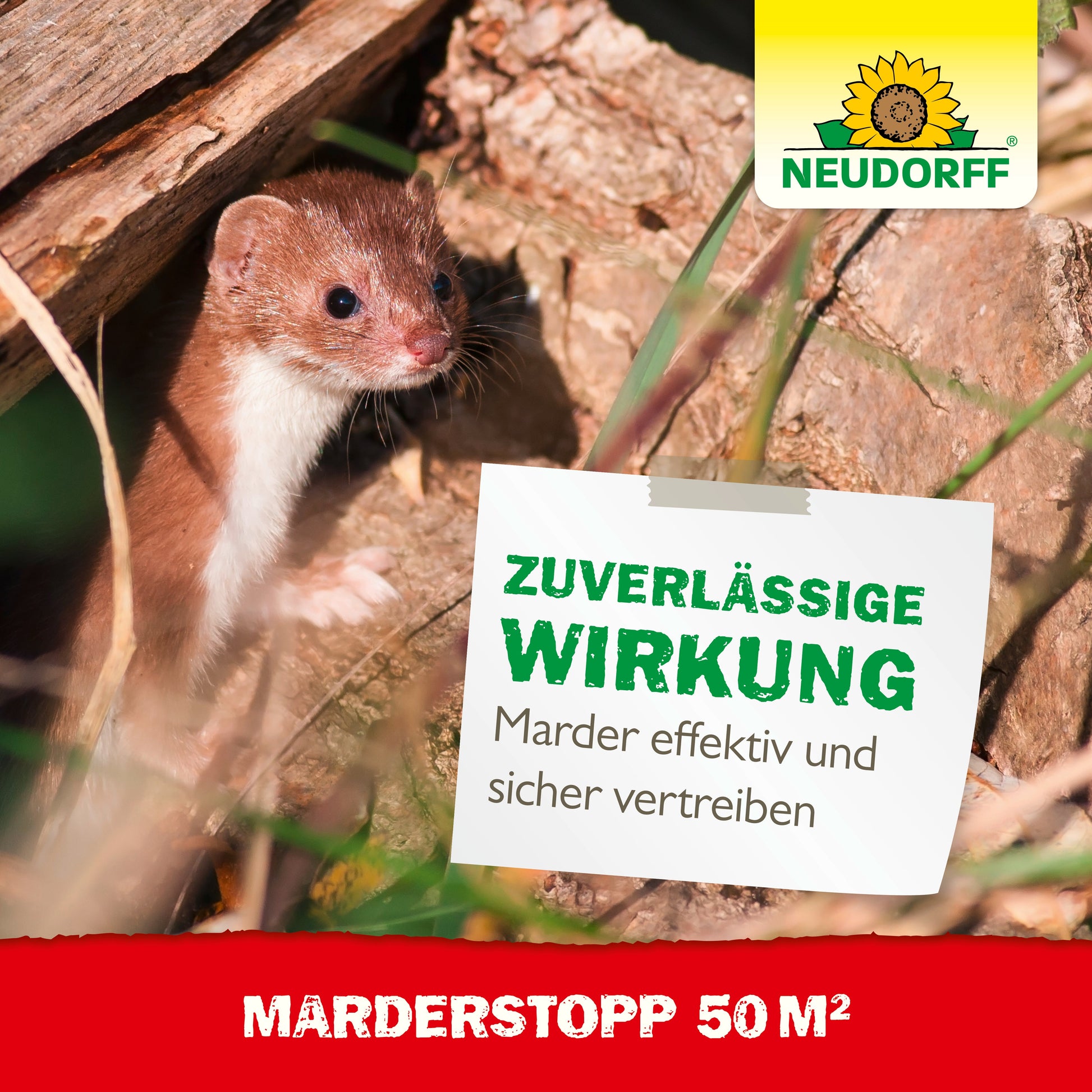 Ein wieselartiges Tier steht an einer Baumrinde neben einem Schild: "Zuverlässige Wirkung. Marder effektiv und sicher vertreiben - dank Ultraschall-Technologie." Abgebildet sind das Logo des Neudorff Shops und der Produktname "MarderStopp 50m2".