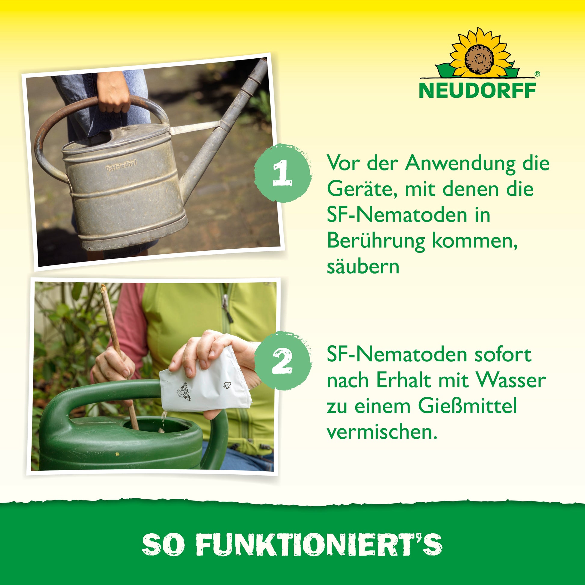 Oben: Eine Person hält eine Gießkanne. Unten: Nematoden aus "Nützlinge gegen Ameisen" vom Neudorff Shop werden eingefüllt, um Ameisen effektiv in zwei Schritten zu bekämpfen. Der Text zeigt die einfache Anwendung mit SF-Nematoden.