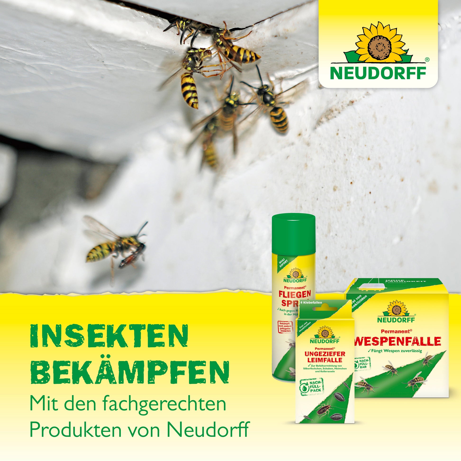 Mehrere Wespen sammeln sich auf einer weißen Fläche. Im Vordergrund stehen drei Neudorff Shop Nützlinge gegen Ameisen Produkte, die nicht nur gegen Wespen wirken, sondern auch Ameisen bekämpfen und lästige Ameisennester ins Visier nehmen. Es erscheinen deutscher Text und das Logo.