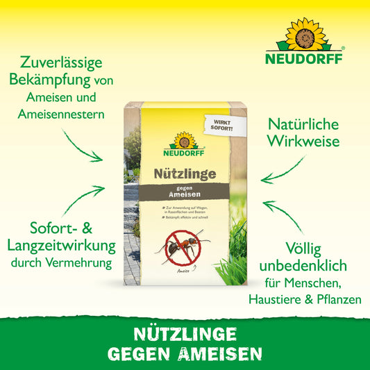 Eine Packung Neudorff Shop Nützlinge gegen Ameisen steht auf einer Wiese und weist auf die wirksame, natürliche Wirkung gegen Ameisennester, die sofortige und langfristige Wirkung sowie die Sicherheit für Menschen, Haustiere und Pflanzen hin.