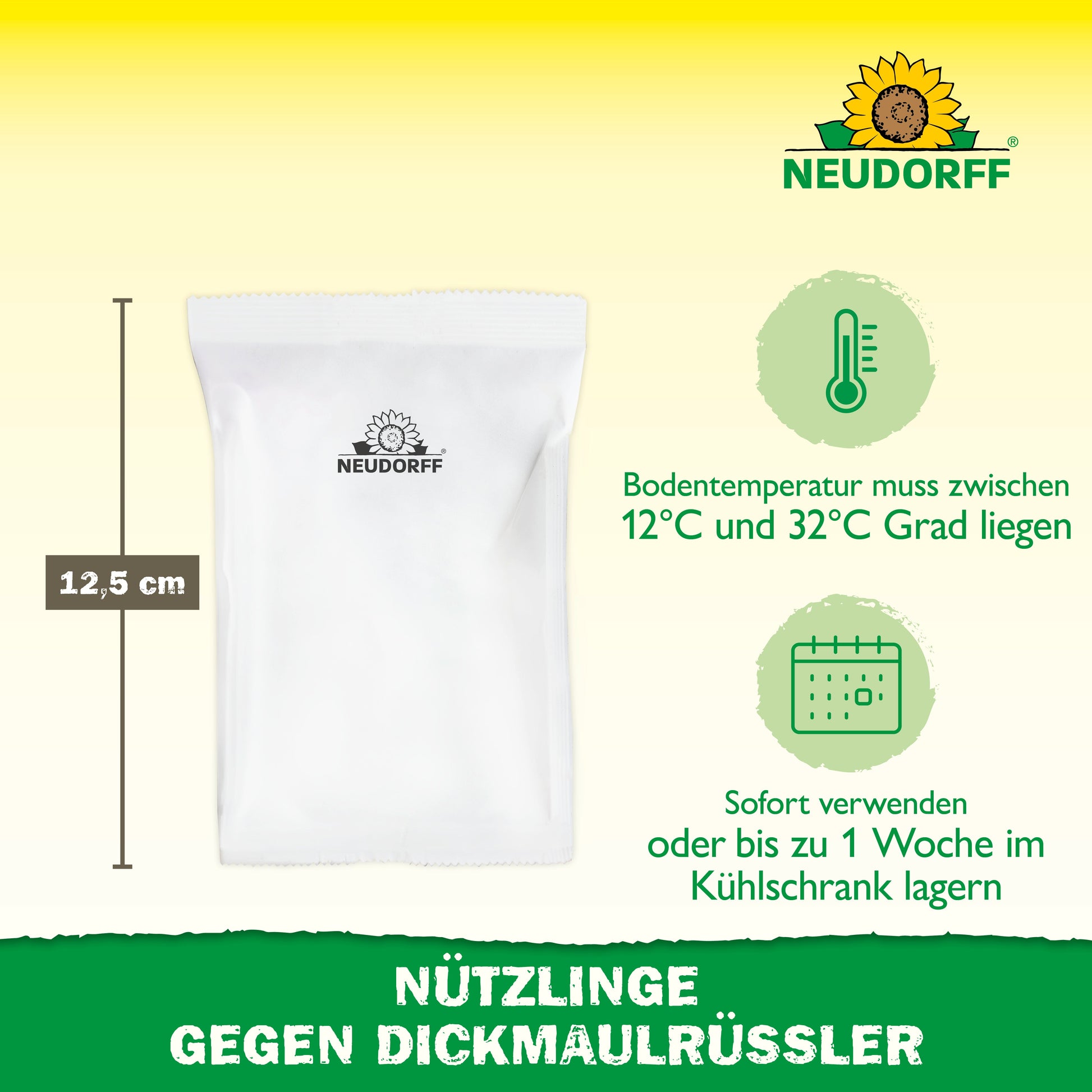 Eine weiße Neudorff-Shop-Packung "Nützlinge gegen Dickmaulrüssler" ist neben einem Lineal mit der Höhe 12,5 cm abgebildet. Die Verpackung ist mit einer Aufbewahrungsanleitung, grünen Symbolen und dem Neudorff-Logo in der rechten oberen Ecke versehen.