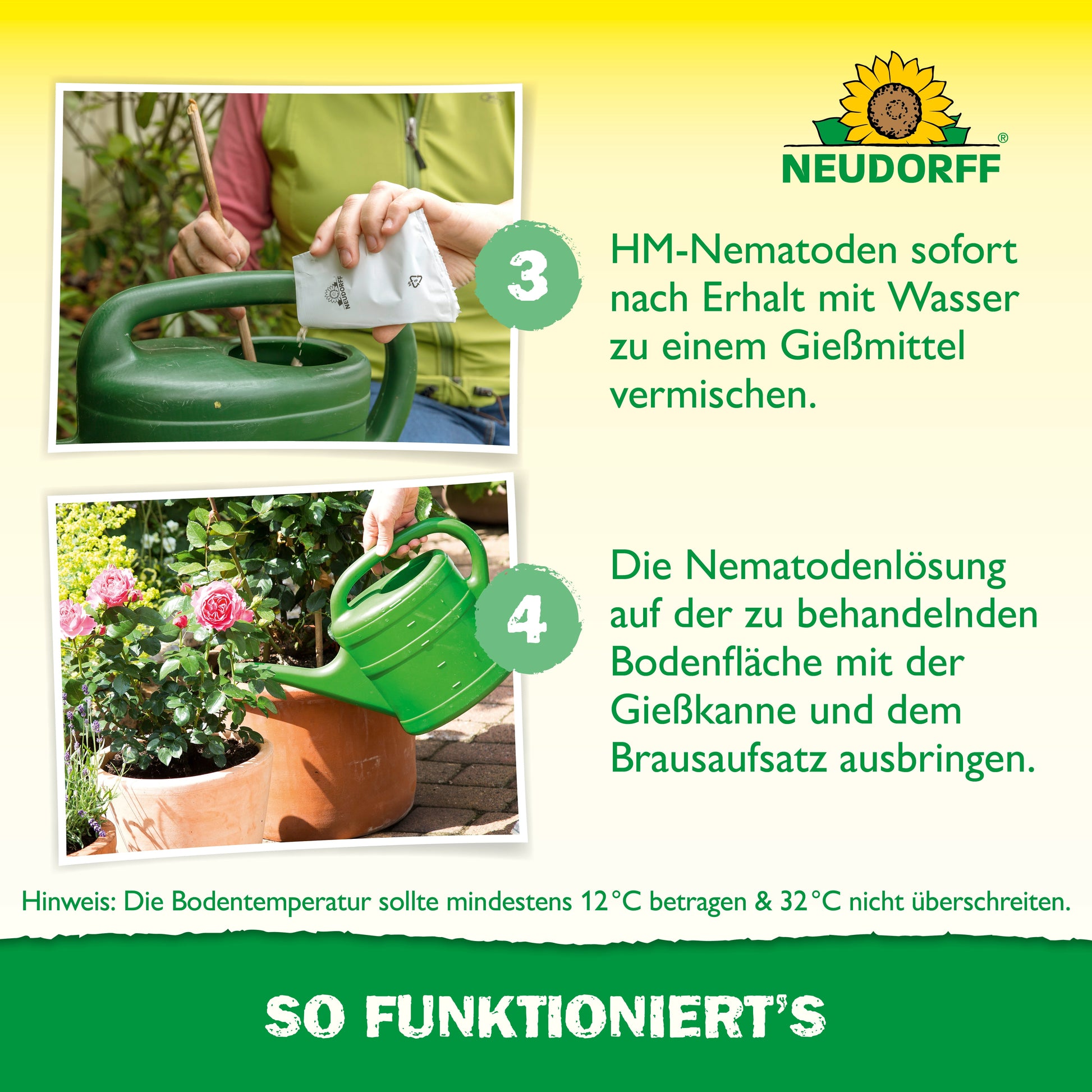 Eine Person gießt Pflanzen mit einer grünen Gießkanne; daneben gut sichtbare Anleitung zur Anwendung von "Nützlinge gegen Dickmaulrüssler" von Neudorff Shop, auf Deutsch, mit Temperaturhinweis und Neudorff-Logo am unteren Rand.