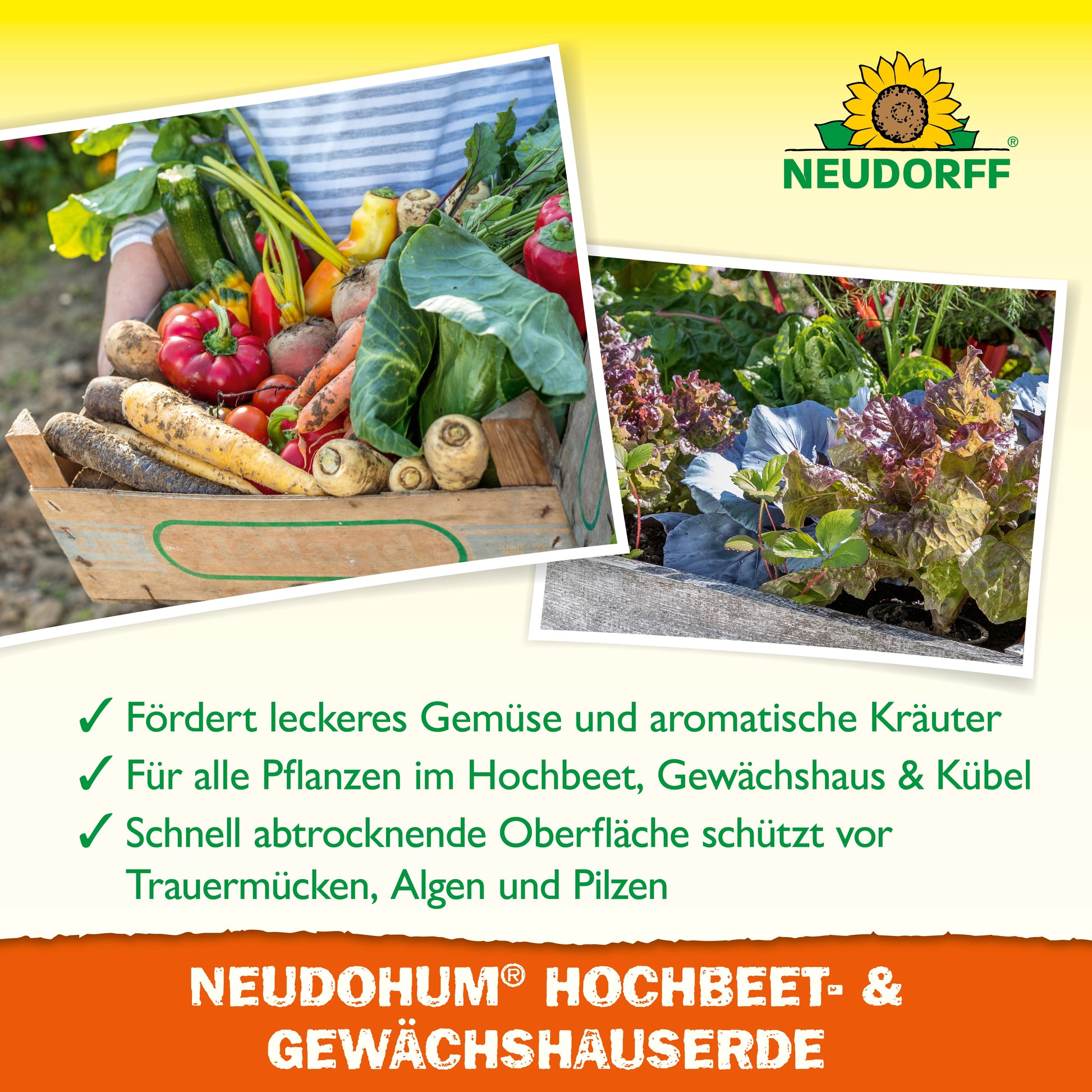 Eine Holzkiste mit frischem Gemüse steht neben dem Grünzeug im Garten. NeudoHum Hochbeet & GewächshausErde aus dem Neudorff Shop eignet sich perfekt als humusreiches Pflanzsubstrat für Hochbeete und Gewächshäuser und fördert die Gesundheit und den Schutz der Pflanzen.