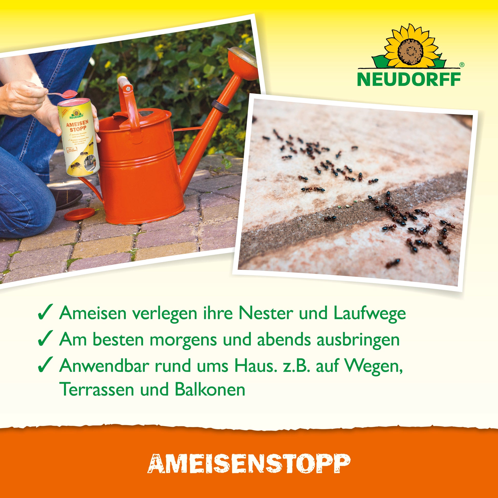 Eine Person gießt Neudorff Shop AmeisenStopp in eine rote Gießkanne neben Pflastersteinen; eine Nahaufnahme zeigt Ameisen. Der deutsche Text mit Häkchen erklärt, wie man Ameisen bekämpft und gibt Details zur Verwendung dieses Mittels gegen Ameisen.