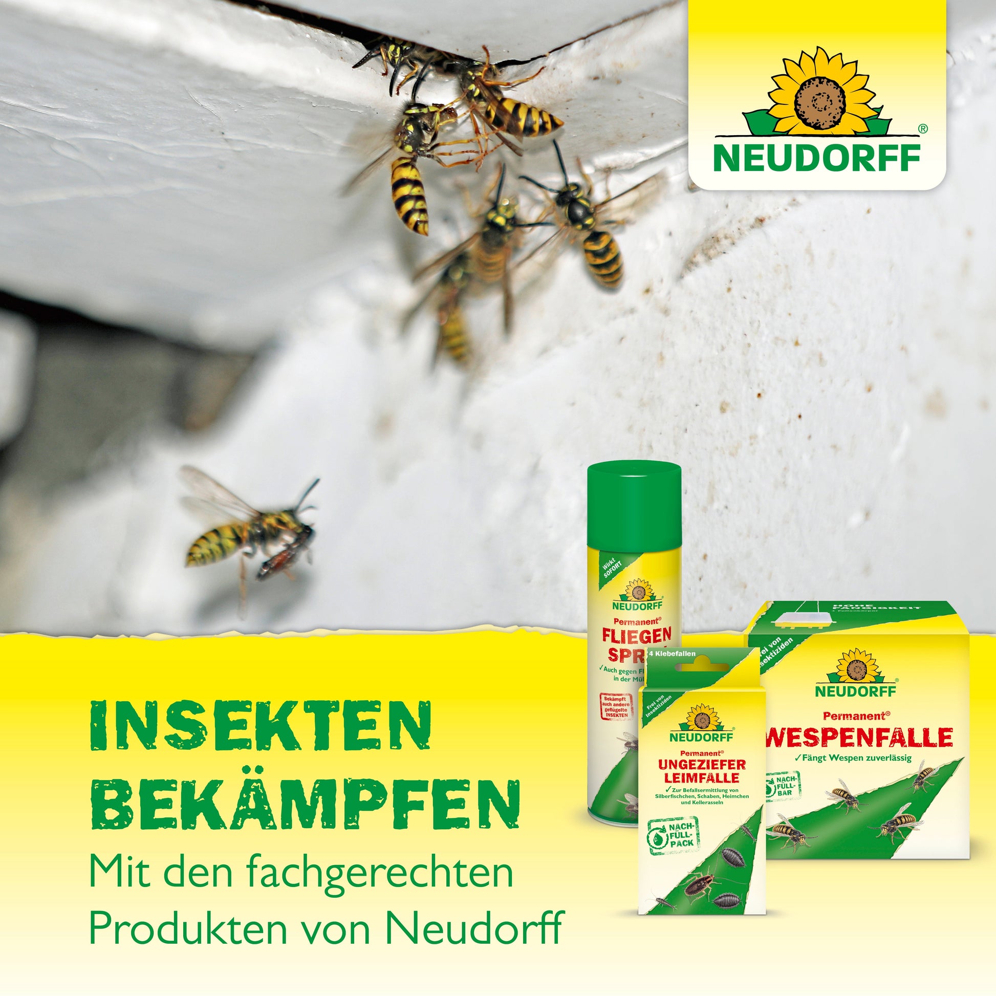 Mehrere Wespen sammeln sich auf einer weißen Fläche in der Nähe einer Ecke. Im Vordergrund sind drei Produkte von Neudorff Shop AmeisenStopp - ideal als Mittel gegen Ameisen - mit einem deutschen Text zur Insektenbekämpfung abgebildet.