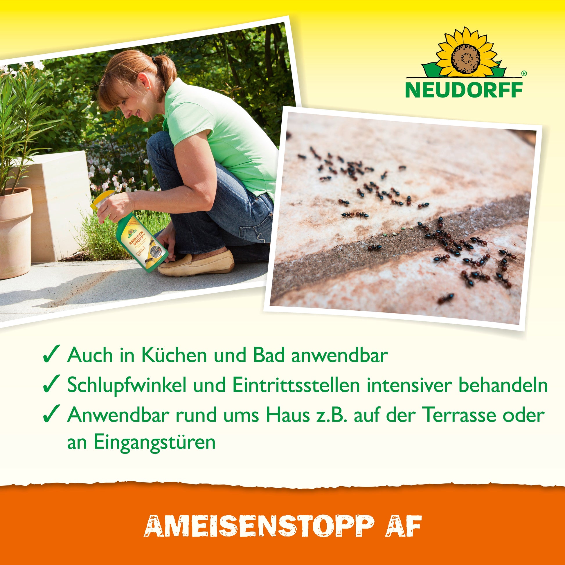 Eine Person sprüht AmeisenStopp AF von Neudorff Shop aus einer grünen Flasche auf eine Terrasse in der Nähe einer Ameisenstraße. Nahaufnahme von Ameisen auf einer Naht. Der Text zeigt, dass es gegen Ameisen in Küchen und im Freien eingesetzt wird. Das Logo von Neudorff Shop befindet sich oben.