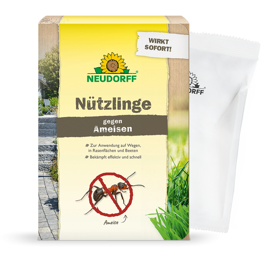 Eine Schachtel Neudorff Shop Nützlinge gegen Ameisen zeigt Abbildungen von Ameisen und ein durchgestrichenes Ameisensymbol, was darauf hinweist, dass es zur Bekämpfung von Ameisen auf Wegen, Rasenflächen und Blumenbeeten verwendet wird. Hinter der Schachtel befindet sich ein teilweise sichtbares weißes Päckchen.