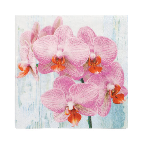 Eine Nahaufnahme von rosafarbenen Orchideen mit orangefarbenen Zentren auf hellblau-weißem Hintergrund ziert die PAPSTAR 20 Servietten, 33 cm x 33 cm, 3-lagig, Design Set 2 der PAPSTAR GmbH.