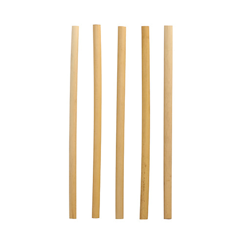 Fünf gerade PAPSTAR 100 Trinkhalme Schilf „pure“ Ø 7 mm, 20 cm, aus umweltfreundlichem Material von PAPSTAR GmbH stehen aufrecht und gleichmäßig verteilt vor weißem Hintergrund.