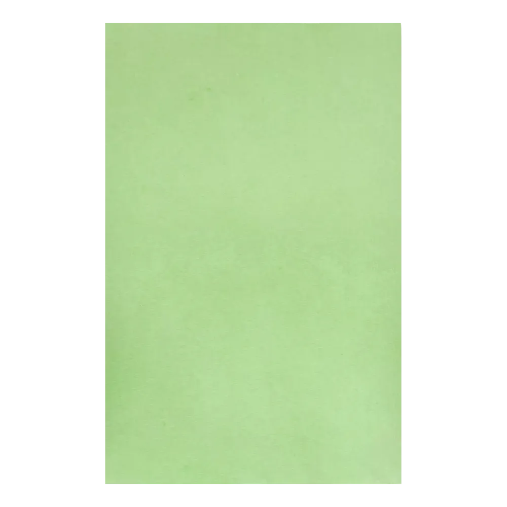 Ein Blatt glattes, hellgrünes AMPri Dental Kreppauflage Tray-Filterpapier mit den Maßen 18 x 28 cm, hergestellt von der AMPri Handelsgesellschaft mbH, ohne Markierungen oder Verzierungen.