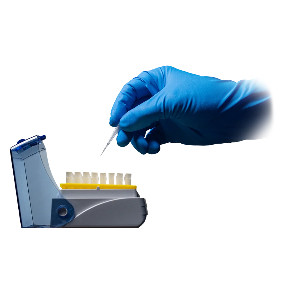 Eine behandschuhte Hand, geschützt durch AMPri SolidSafety High Risk Pro Nitril Chemikalienschutzhandschuhe Typ A der AMPri Handelsgesellschaft mbH, hält eine Pipette über einer Reihe kleiner weißer Probenröhrchen in einem Labortablett. Das Tablett ist teilweise mit einem transparenten blauen Deckel abgedeckt, der für einen organisierten Arbeitsplatz sorgt. Der makellose Hintergrund unterstreicht die sterile Laborumgebung.