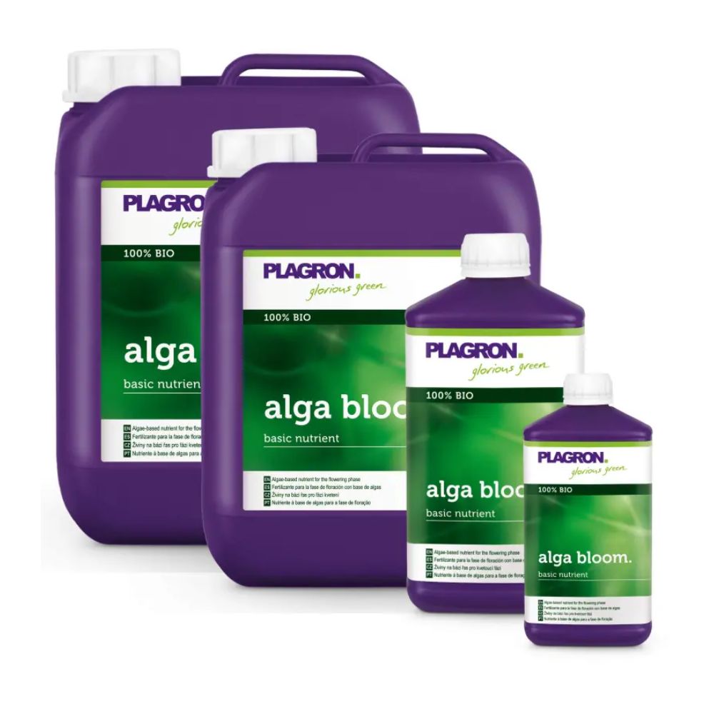 Vier Flaschen Plagron Alga Bloom Natürlicher Pflanzendünger von Bertels B.V., ideal für die Blütephase, werden in zwei großen und zwei kleinen Flaschen präsentiert. Jede Flasche verfügt über ein leuchtend violettes Design und grüne „100% Bio“-Etiketten, die diese essentiellen Pflanzennährstoffe stilvoll präsentieren.