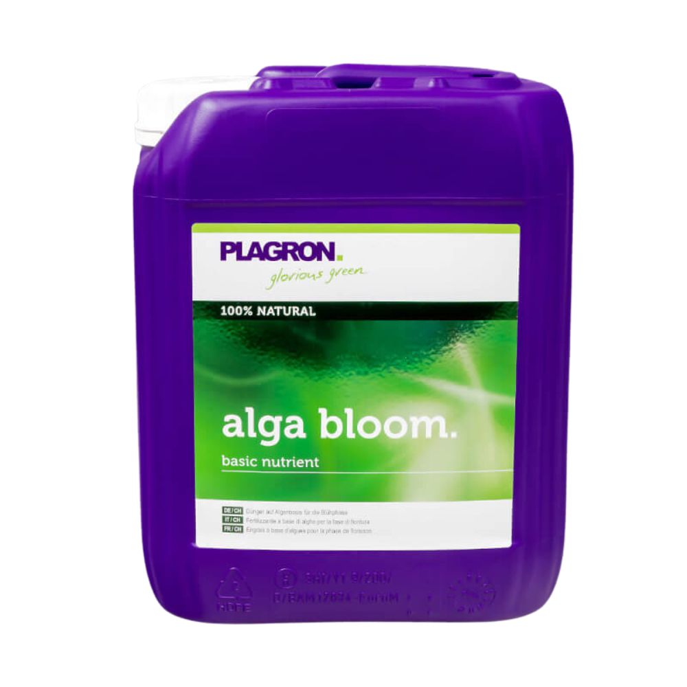 Ein violetter Behälter mit der Aufschrift „Plagron Alga Bloom Natürlicher Pflanzendünger“ von Bertels B.V. weist ein grün-weißes Design auf, besitzt einen weißen Deckel und enthält flüssige Nährstoffe, die für optimales Pflanzenwachstum während der Blütephase entwickelt wurden.