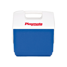 Cool-Box - Insulated Plastic Box