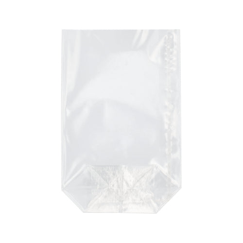 Ein transparenter, rechteckiger Starpak 300 Bodenbeutel von Starpak mit flachem Boden und versiegelten Seitenkanten ist leer abgebildet und vor einem schlichten weißen Hintergrund fotografiert.
