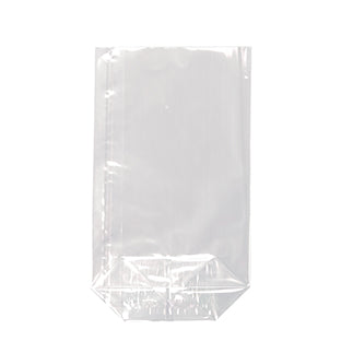 Der Starpak 10 Bodenbeutel, PP transparent, ist ein durchsichtiger, rechteckiger Beutel mit flachem Boden von Starpak, ideal für vielseitige Verpackungen und auf weißem Hintergrund abgebildet.