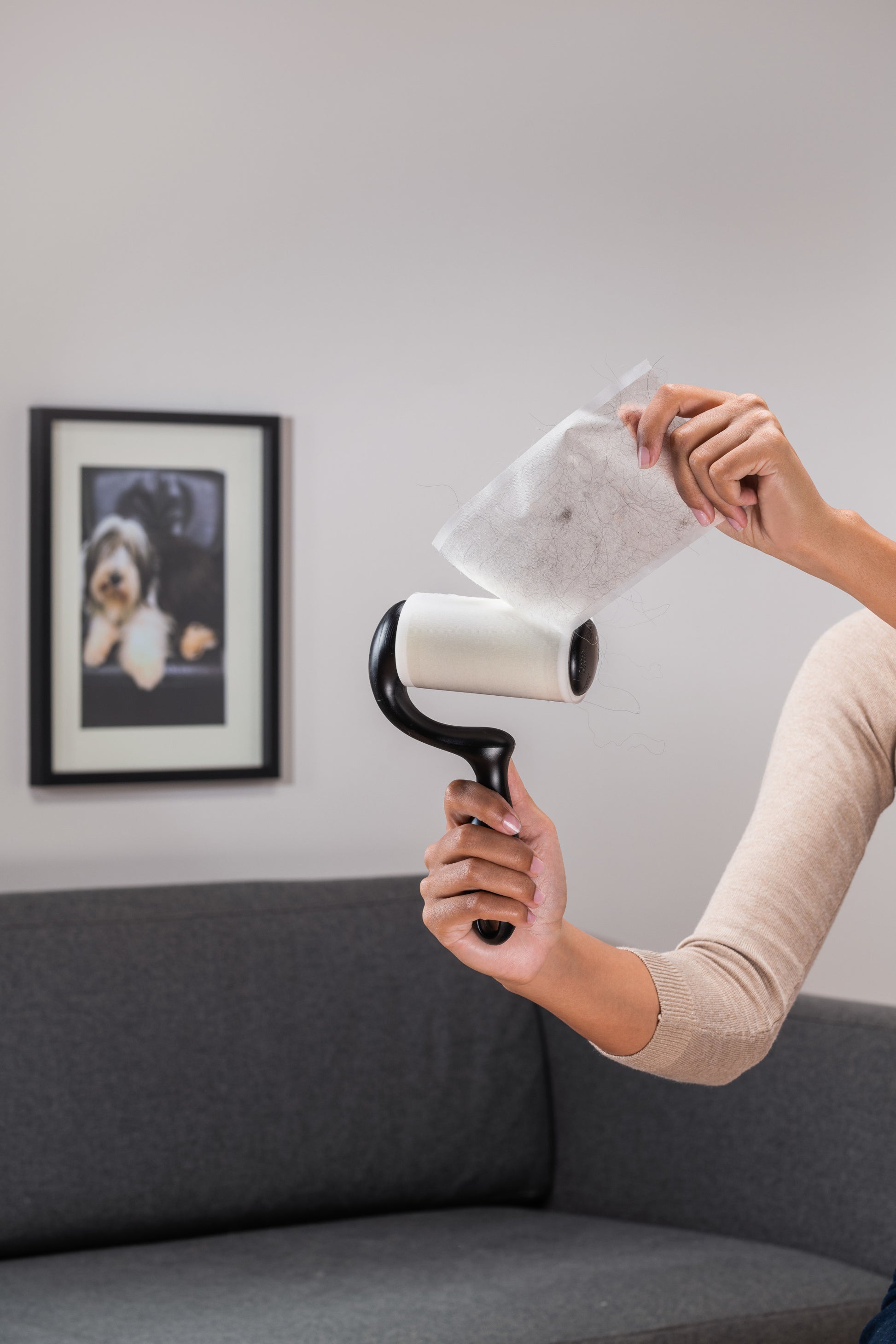 Jemand verwendet den Scotch-Brite™ Everyday Clean Fusselroller für flache Oberflächen (56 Blatt, 1 Packung) von 3M Deutschland GmbH, um Tierhaare zu entfernen, mit einem Hundefoto und einer grauen Couch im Hintergrund.
