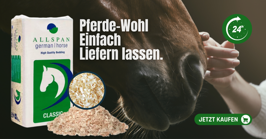 Nahaufnahme einer Pferdenase mit einer Hand, die nach ihr greift, einem Sack Allspan deutscher Pferdeeinstreu, Späne- und Sägemehlproben und einem deutschen Text, der für die Lieferung von Pferdeeinstreu wirbt. Die grüne Schaltfläche "Jetzt kaufen" ist sichtbar.