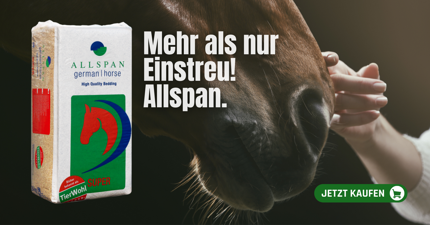 Nahaufnahme der Hand einer Person, die das Gesicht eines braunen Pferdes streichelt. Links ist eine Packung Allspan-Pferdeeinstreu zu sehen. Der Text auf Deutsch lautet: 