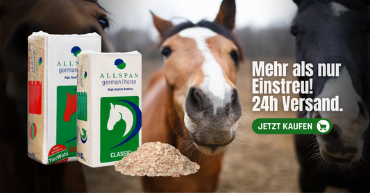 Zwei Säcke mit Allspan German Horse Einstreu sind vor drei Pferden zu sehen. Auf dem Boden ist ein Haufen Einstreu zu sehen. Der Text lautet "Mehr als nur Einstreu! 24h Versand. Jetzt kaufen.".