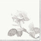 A gray rose sketch with leaves is centered on white and bordered by thin double lines. The logo of Duni GmbH appears at the bottom right - an elegant choice: Cellulose napkins 33x33 cm, 3-ply | Pack (50 napkins).