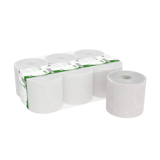 Abgebildet ist eine Packung mit sechs Hostess™ NATURA Rollenhandtüchern der Kimberly-Clark GmbH - fünf in Kunststoff verpackte Naturrollen mit grüner und weißer Beschriftung sowie eine unverpackte Rolle, die aufrecht neben der Packung steht.