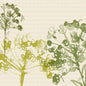 Green and yellow botanical silhouettes in watercolor style adorn a beige geometric background. A round label marks "eco-friendly napkins". Product: Cell. Napkins 40x40 Classic Green Umbles (50 napkins), Duni GmbH.