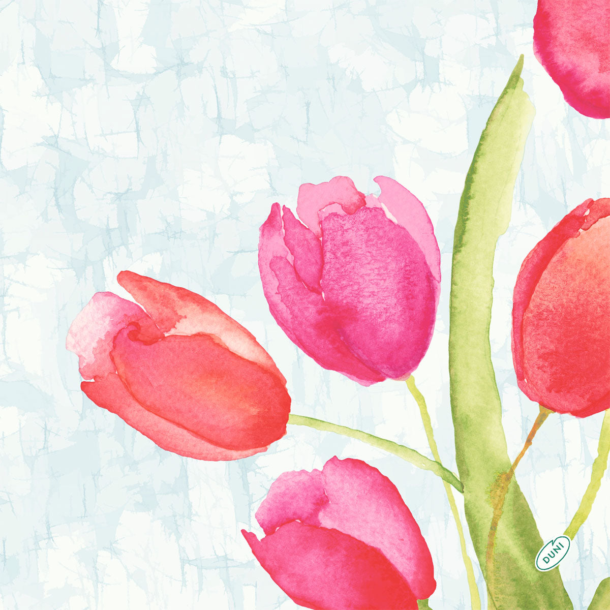 Aquarell-Illustration von vier rosa und roten Tulpen mit grünen Stängeln auf hellblauem Hintergrund, perfekt für den Duni GmbH Bio-Dunisoft-Serv. 40x40cm.