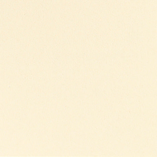 Eine leere, glatte Oberfläche in einem gleichmäßigen, hellbeigen Farbton, ähnlich der Bio-Dunicel-Mitteldecke 84x84cm creme von Duni GmbH (20er Pack); es sind keine Muster, Strukturen oder Gegenstände sichtbar.