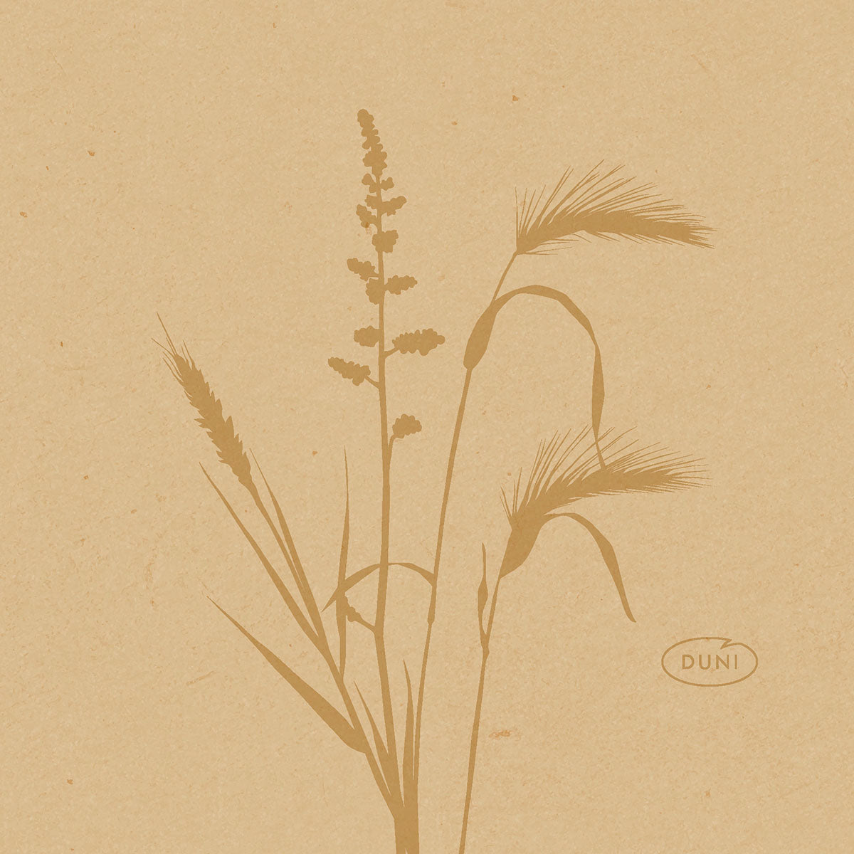 Eine minimalistische Illustration von wilden Gräsern und Pflanzen in Brauntönen ziert diese 20x20cm großen Bio-Dunisoft umweltfreundlichen Servietten der Duni GmbH, mit dem Wort "DUNI" in einem Oval unten rechts auf einem strukturierten hellbraunen Hintergrund.