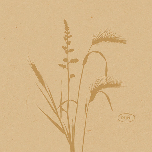 Eine minimalistische Illustration von wilden Gräsern und Pflanzen in Brauntönen ziert diese 20x20cm großen Bio-Dunisoft umweltfreundlichen Servietten der Duni GmbH, mit dem Wort "DUNI" in einem Oval unten rechts auf einem strukturierten hellbraunen Hintergrund.