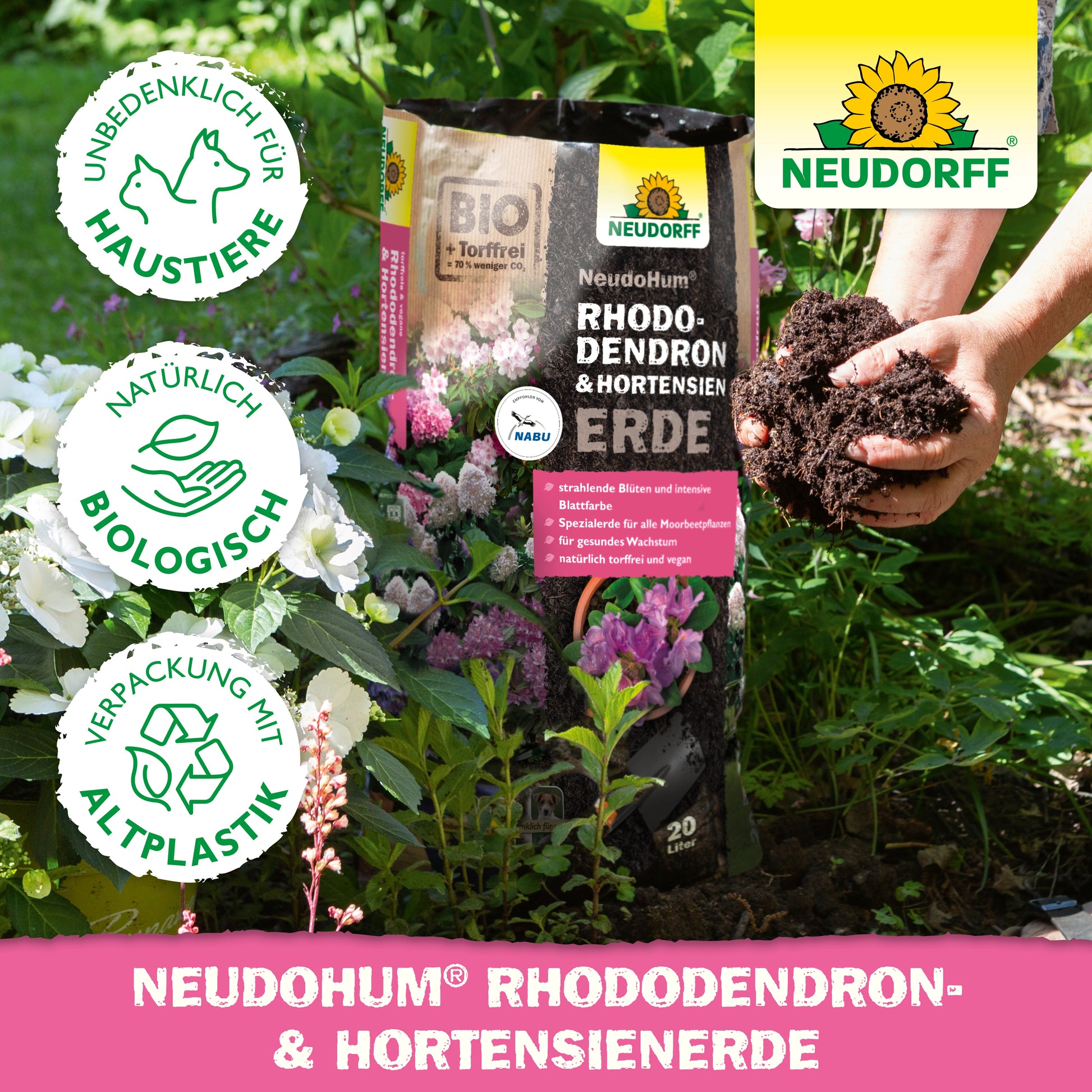 Eine Person mit reichhaltiger NeudoHum Rhododendron & Hortensien Erde aus dem Neudorff Shop, ideal zur Förderung des gesunden Wachstums von Rhododendron.