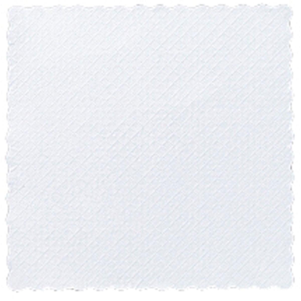 Das Duni GmbH Dessertdeckchen 17 x 17 cm, 1-lagig und weiß mit Wellenrand und diagonalem Gitter, kommt in einer Packung von 4000 Servietten - ideal für die Gastronomie. Einfarbiger Hintergrund, keine zusätzlichen Markierungen oder Gegenstände.