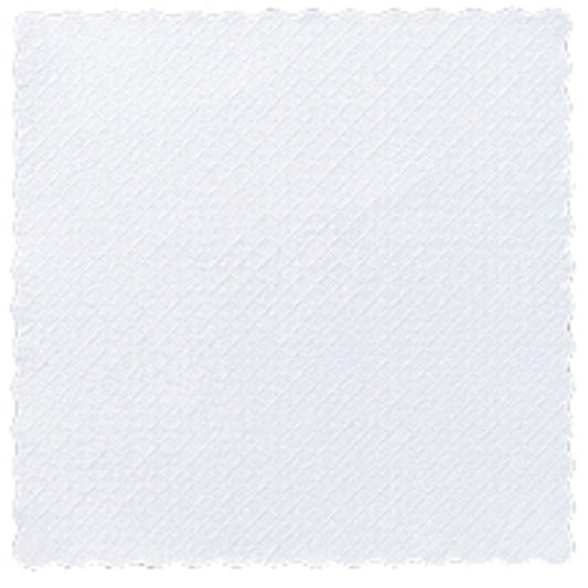 Das Duni GmbH Dessertdeckchen 17 x 17 cm, 1-lagig und weiß mit Wellenrand und diagonalem Gitter, kommt in einer Packung von 4000 Servietten - ideal für die Gastronomie. Einfarbiger Hintergrund, keine zusätzlichen Markierungen oder Gegenstände.