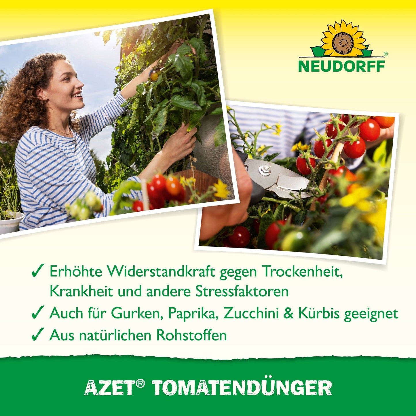 A woman is harvesting tomatoes, close-up of hands cutting. Text highlights abundant harvest thanks to Azet Tomato Fertilizer from Neudorff Shop - ideal for fertilizing tomatoes and suitable for various vegetables. Neudorff Shop logo visible.
