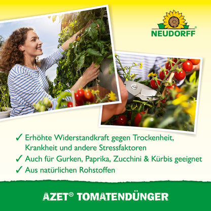 A woman is harvesting tomatoes, close-up of hands cutting. Text highlights abundant harvest thanks to Azet Tomato Fertilizer from Neudorff Shop - ideal for fertilizing tomatoes and suitable for various vegetables. Neudorff Shop logo visible.