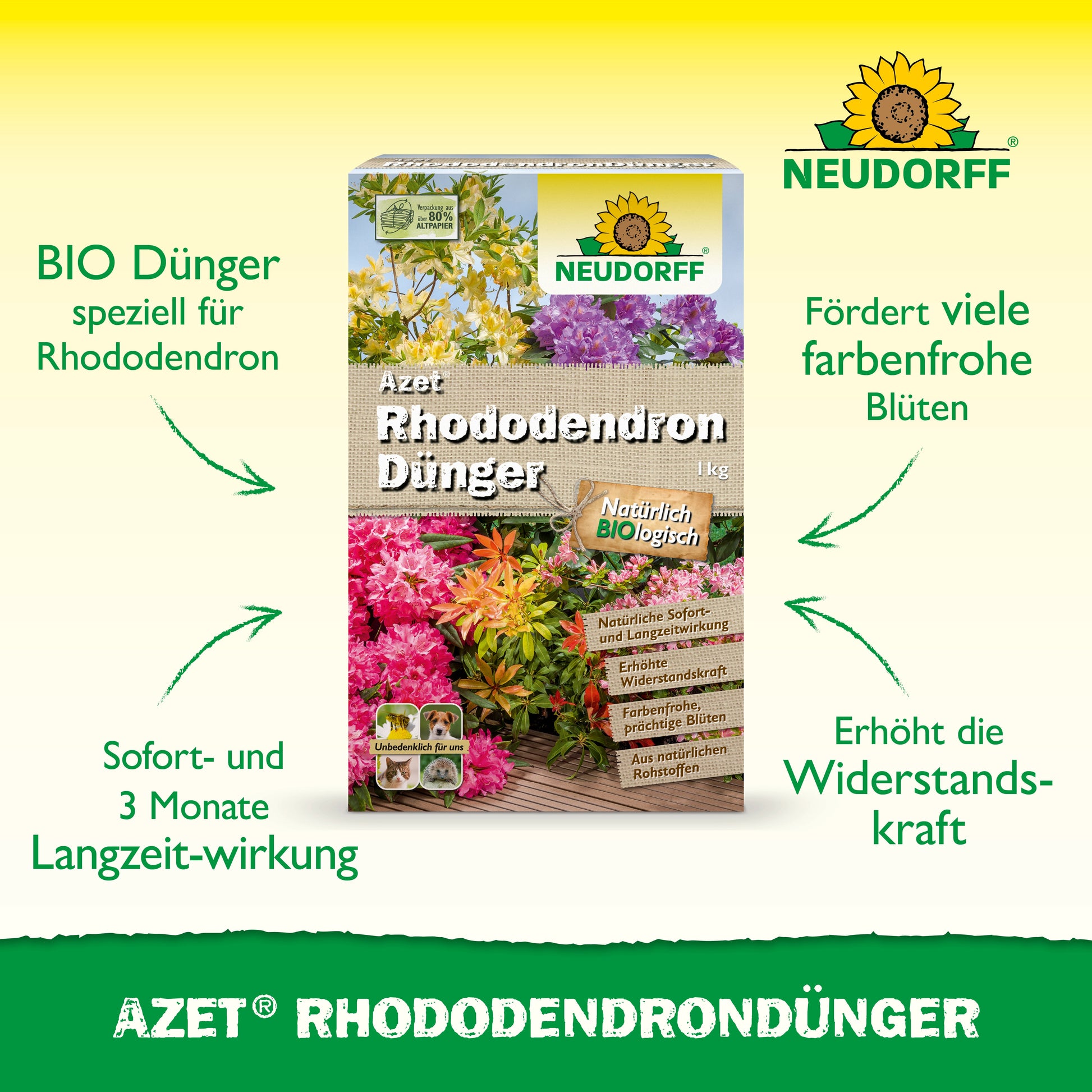 Abgebildet ist eine Schachtel Azet RhododendronDünger von Neudorff Shop mit leuchtenden Rhododendren und Azaleen auf der Verpackung und der organischen Volldünger-Formel für eine gesunde Blüte mit Sofort- und Langzeitwirkung.