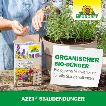 A person sprinkles Neudorff Shop Azet Perennial Fertilizer on the soil in a large garden pot with blooming perennials. The product packaging and a sign advertising organic fertilizer for perennials are visible.