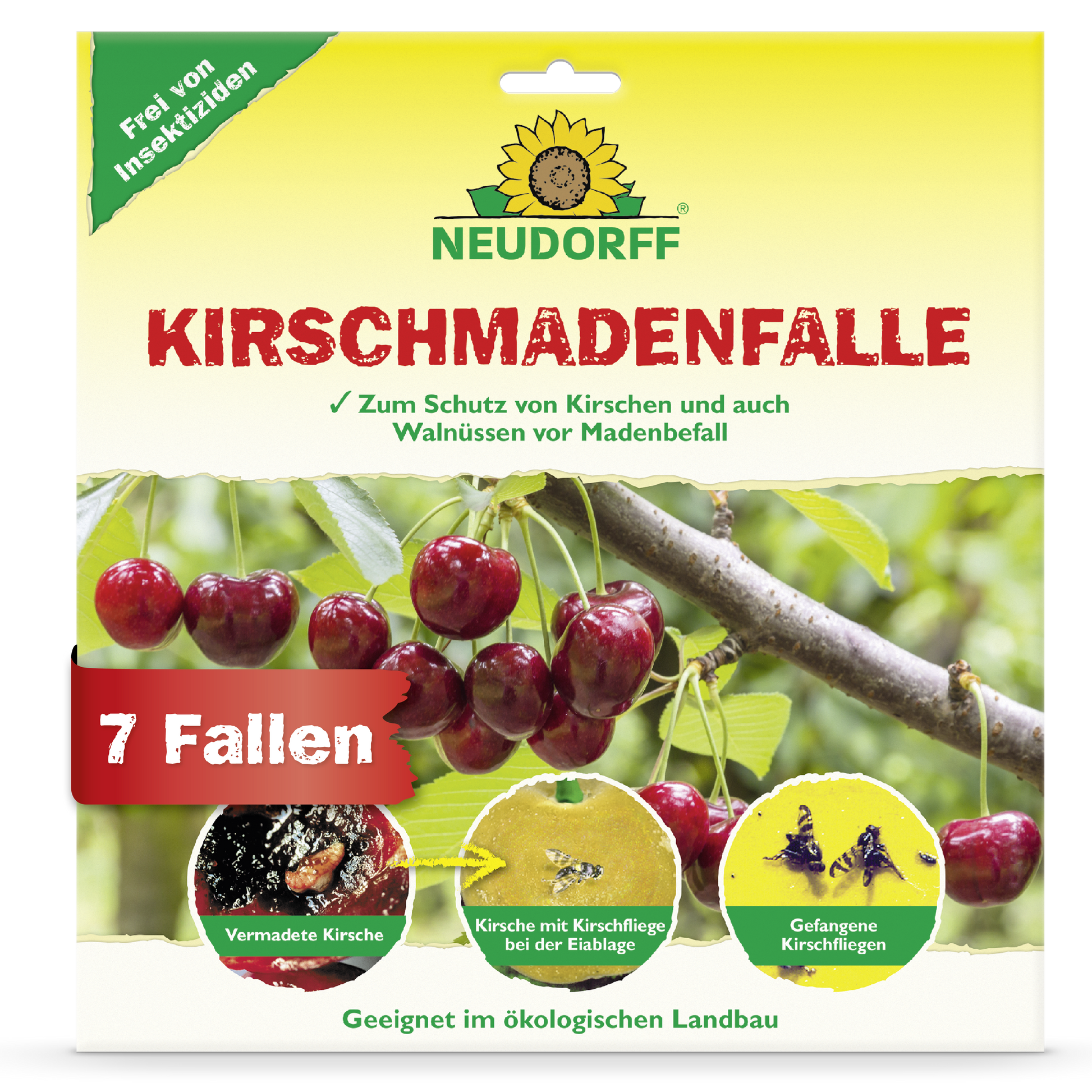 Die Vorderseite einer Neudorff Shop KirschmadenFalle zeigt reife Kirschen, Nahaufnahmen von Schäden durch die Kirschfruchtfliege, gefangene Maden und Fliegen. Der Text hebt die Eignung für die Bio-Kirschenernte hervor und dass die Packung 7 Fallen enthält.